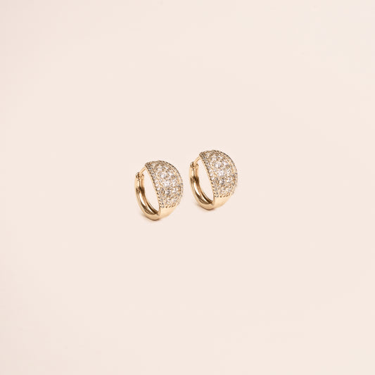 Golden Dome Hoops